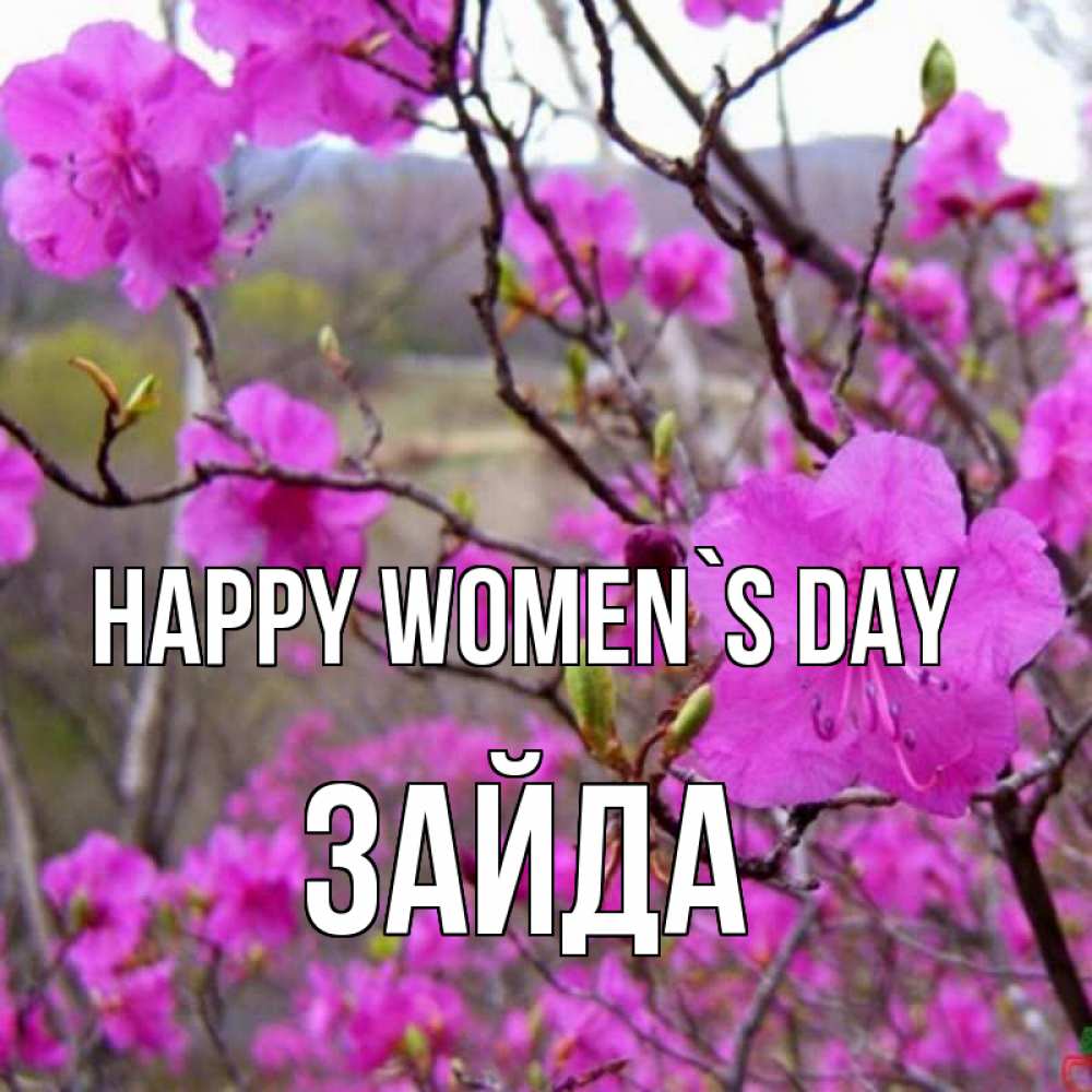 Greetings card с именем, ЗАЙДА happy women`s day международный женский день Greetings with text for free download 